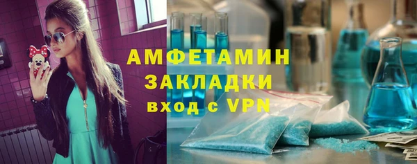 ПСИЛОЦИБИНОВЫЕ ГРИБЫ Верея