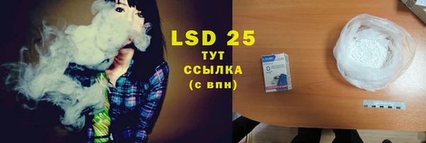 ПСИЛОЦИБИНОВЫЕ ГРИБЫ Верея