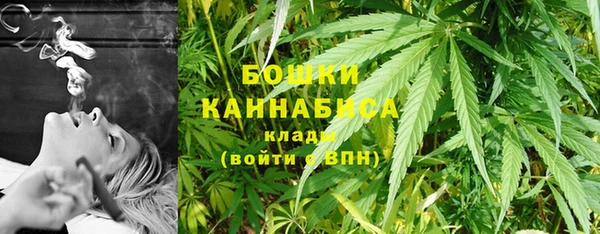 ПСИЛОЦИБИНОВЫЕ ГРИБЫ Верея