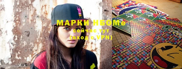ПСИЛОЦИБИНОВЫЕ ГРИБЫ Верея