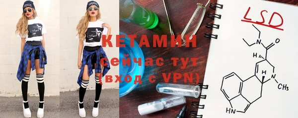 ПСИЛОЦИБИНОВЫЕ ГРИБЫ Верея