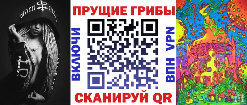 Галлюциногенные грибы Cubensis  OMG   Городище 